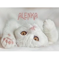 �������� � ������� ALENKA
