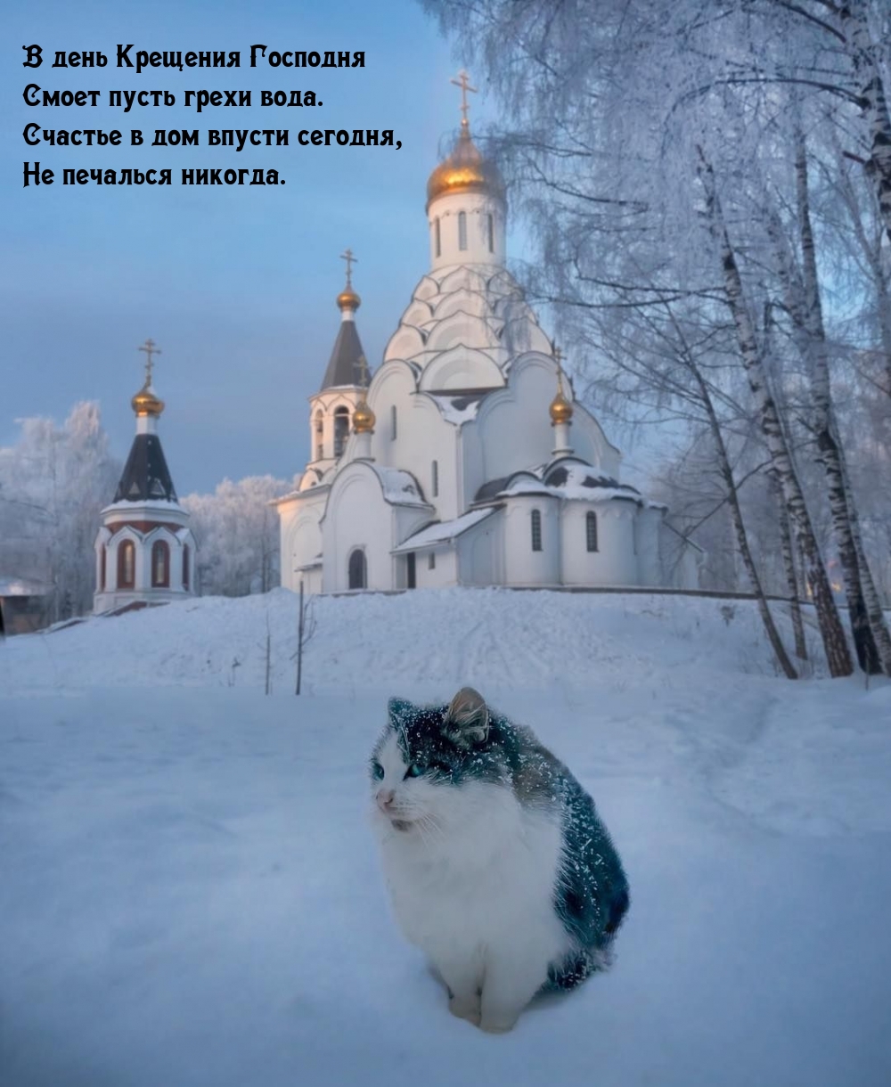 Картинка: В день Крещения Господня смоет пусть грехи вода.