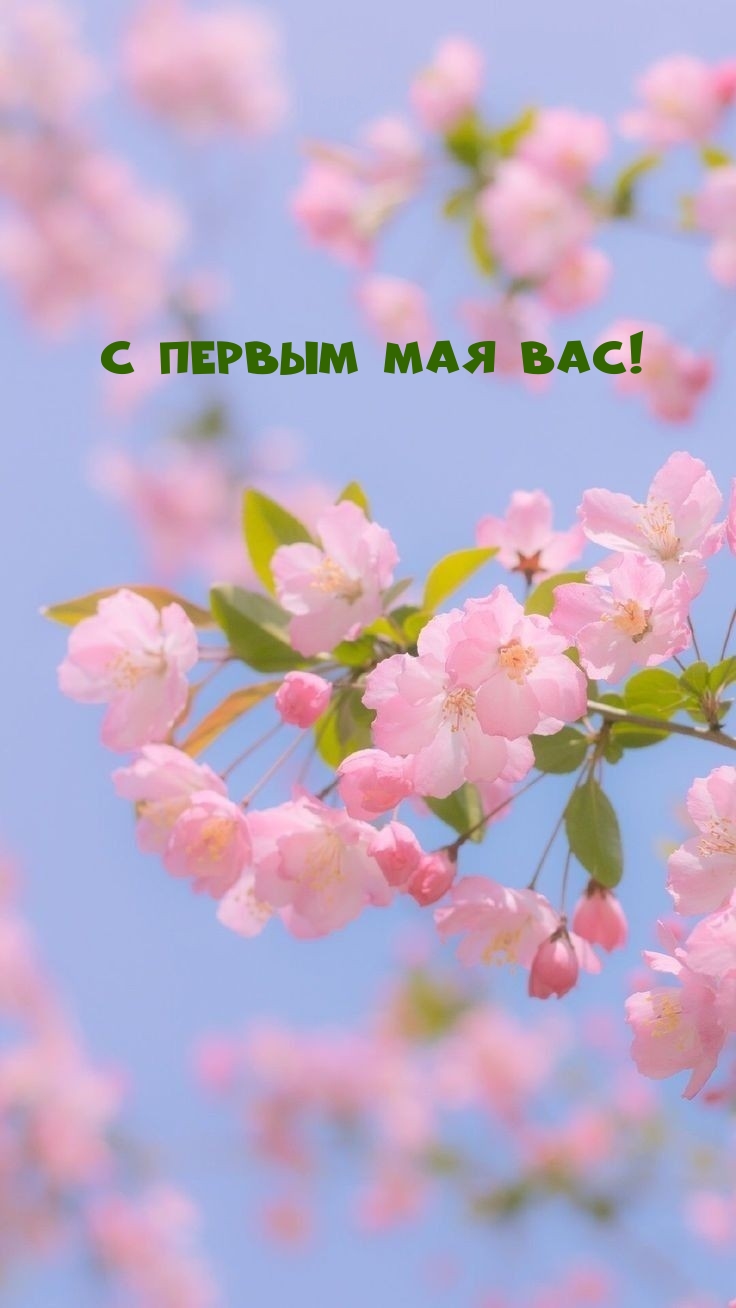 Картинка: С Первым мая Вас!