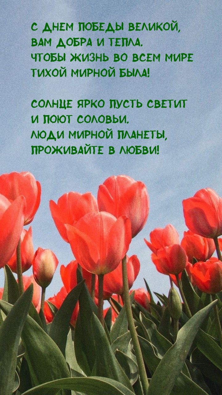 Картинка: С Днем Победы Великой, Вам добра и тепла.