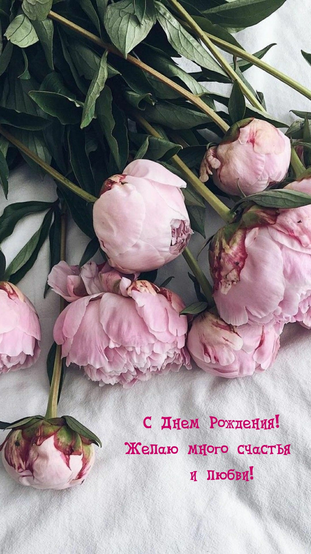 Картинка: С Днем Рождения! Желаю много счастья и любви!