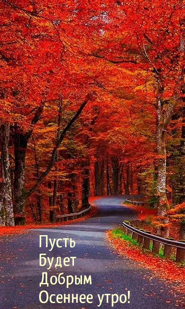 Картинка: Пусть Будет Добрым Осеннее утро!