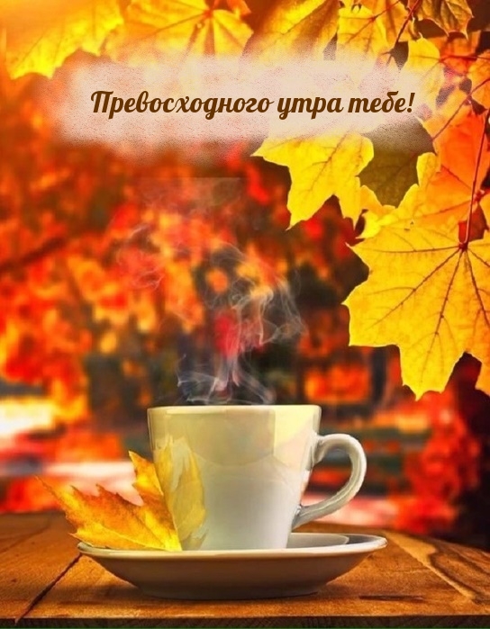 Картинка: Превосходного утра тебе!