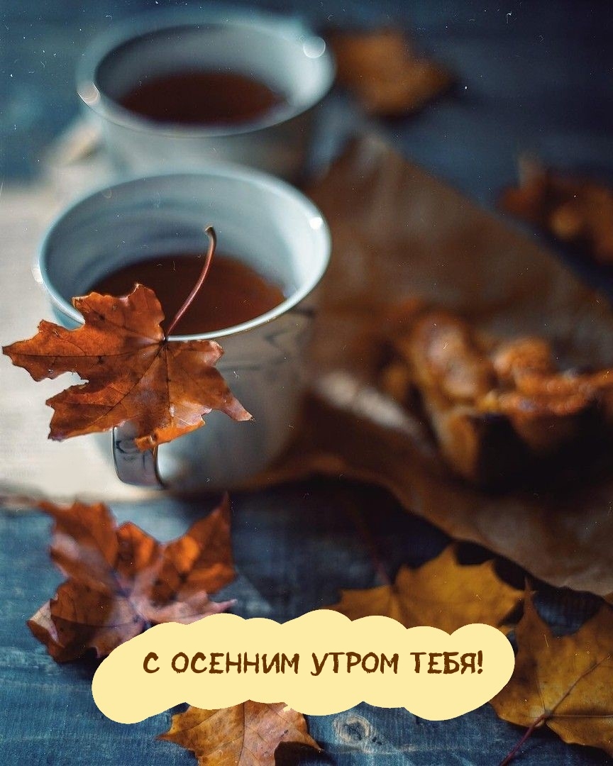 Картинка: С осенним утром тебя!