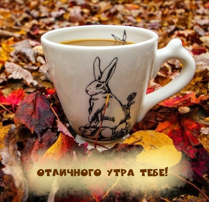Картинка: Отличного утра тебе!