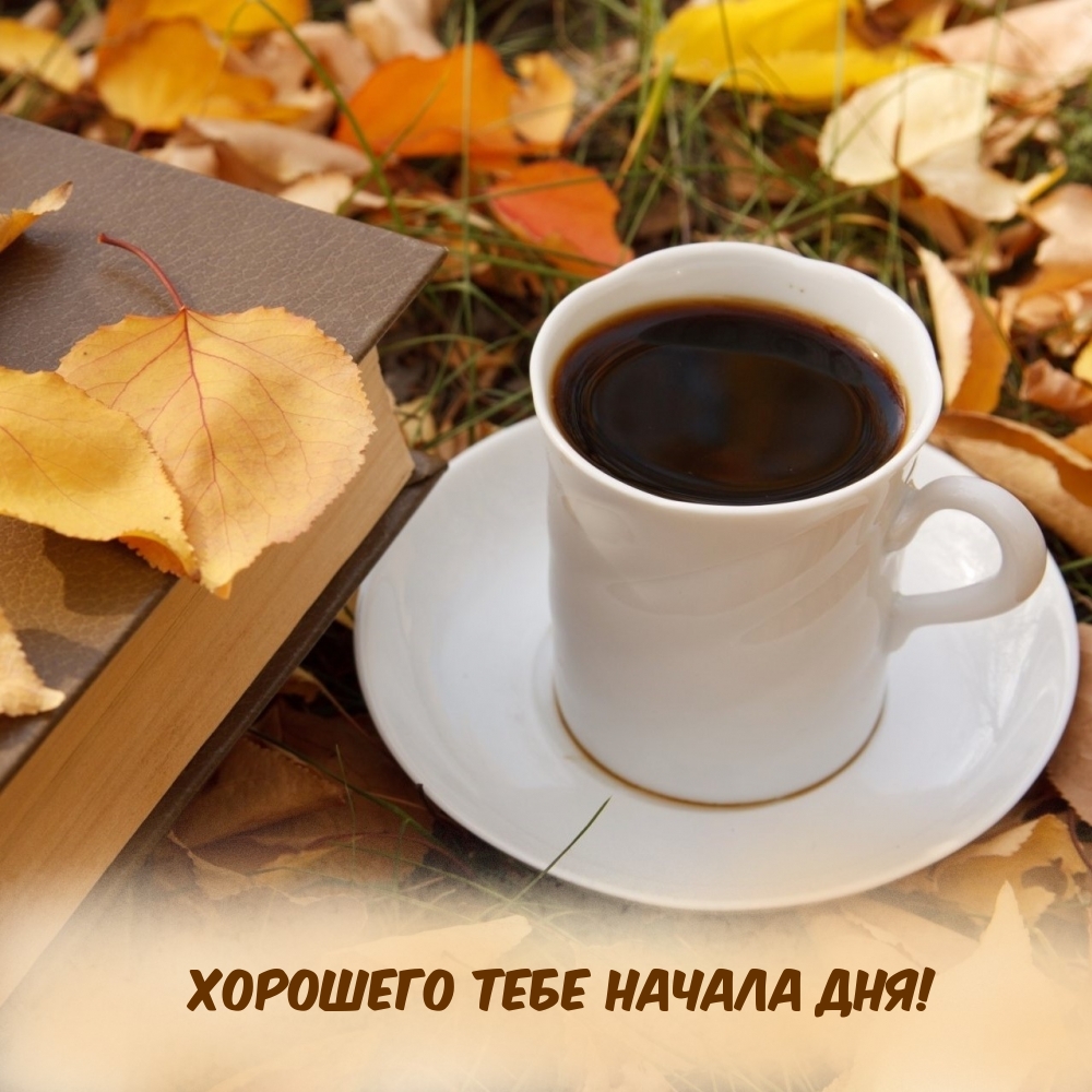 Картинка: Хорошего тебе начала дня!