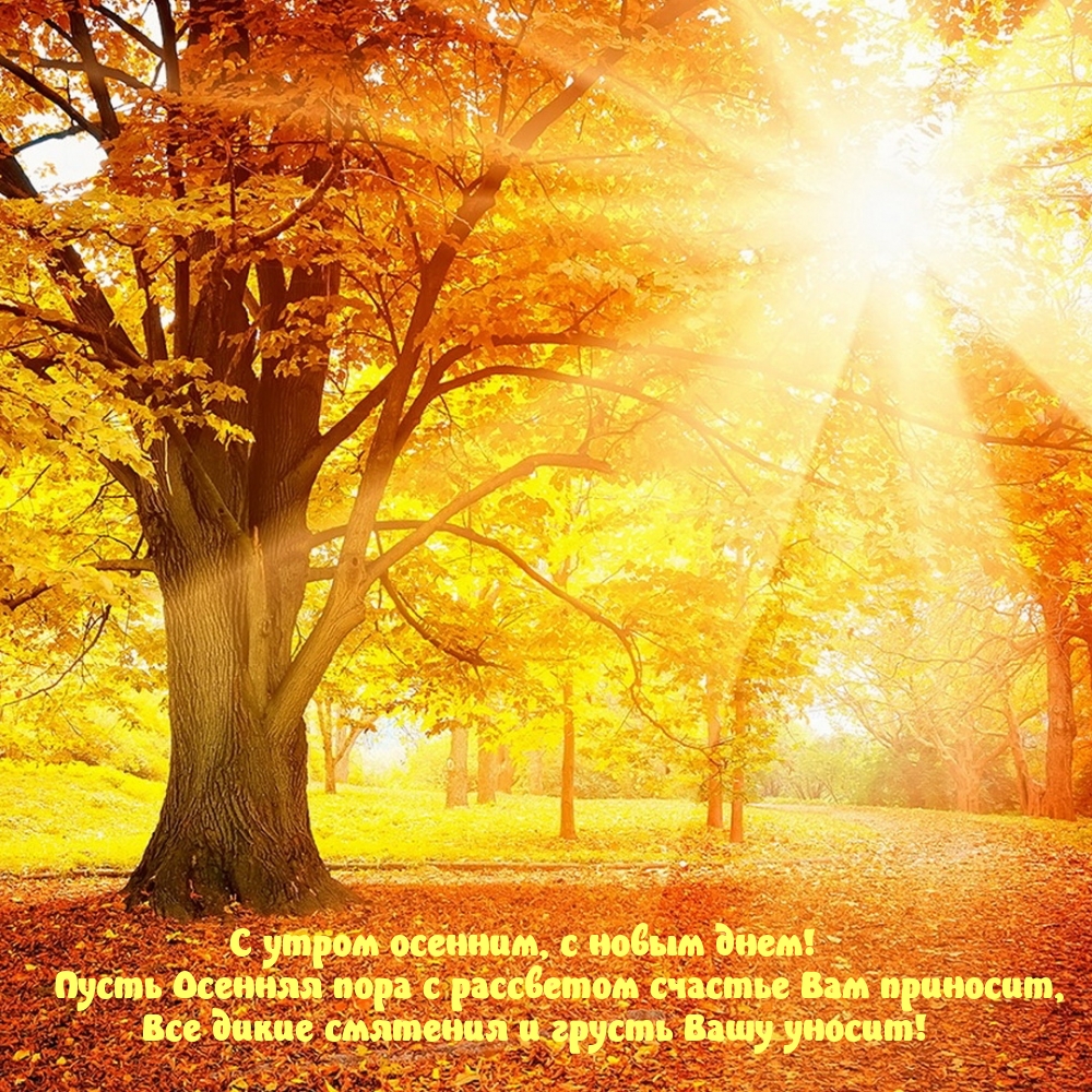 Картинка: С утром осенним, с новым днем!