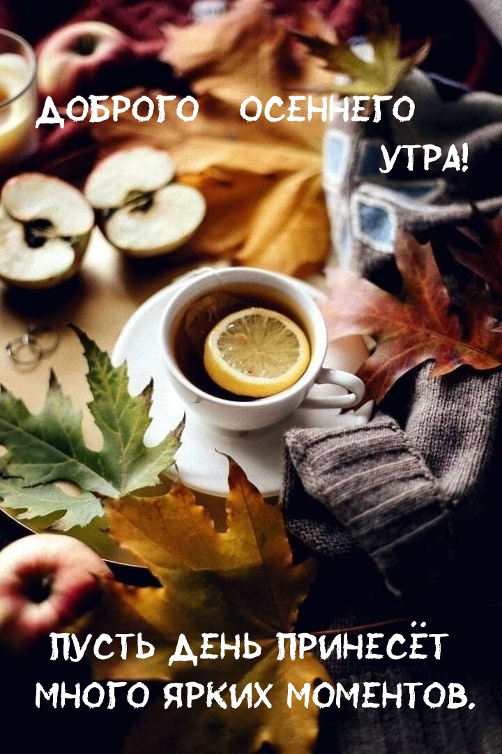 Картинка: Доброго осеннего утра! Пусть день принесёт много ярких моментов.