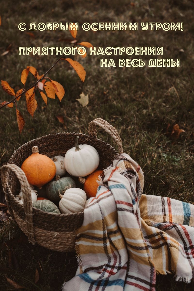 Картинка: С добрым осенним утром! Приятного настроения на весь день!