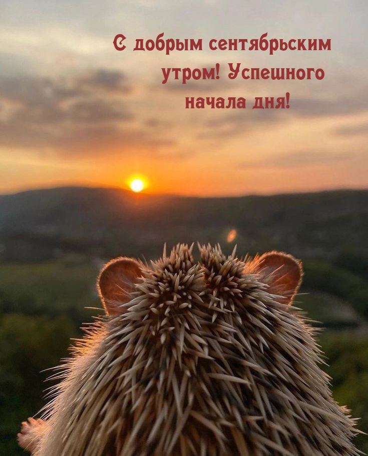 Картинка: С добрым сентябрьским утром! Успешного начала дня!