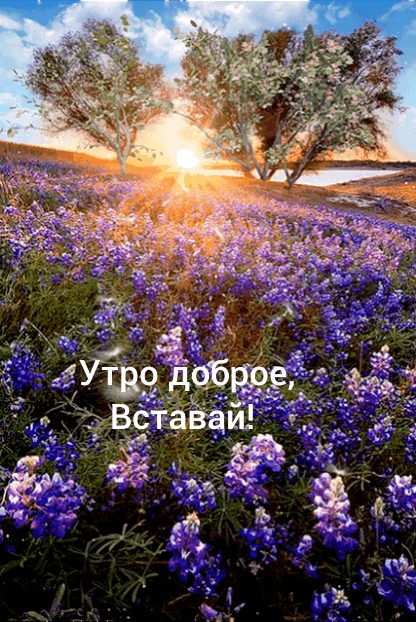 Картинка: Утро доброе, вставай!