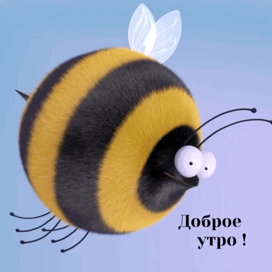 Картинка: Доброе утро !