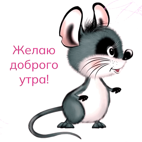 Картинка: Желаю доброго утра !
