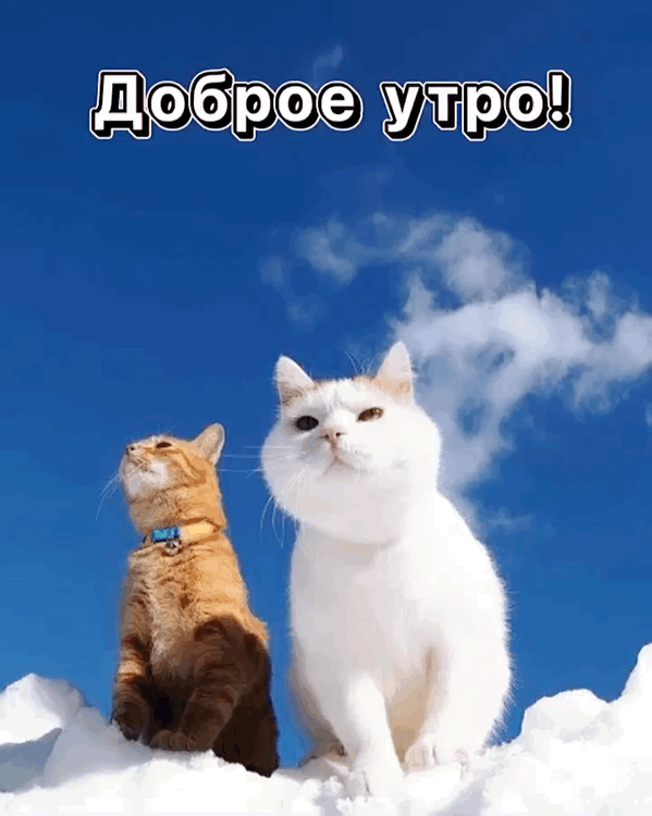 Картинка: Доброе утро !