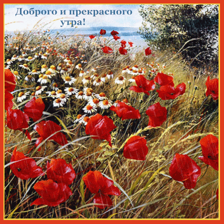 Картинка: Доброго и прекрасного утра!