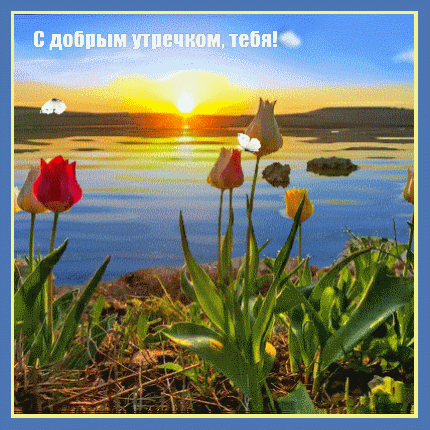 Картинка: С добрым утречком, тебя!