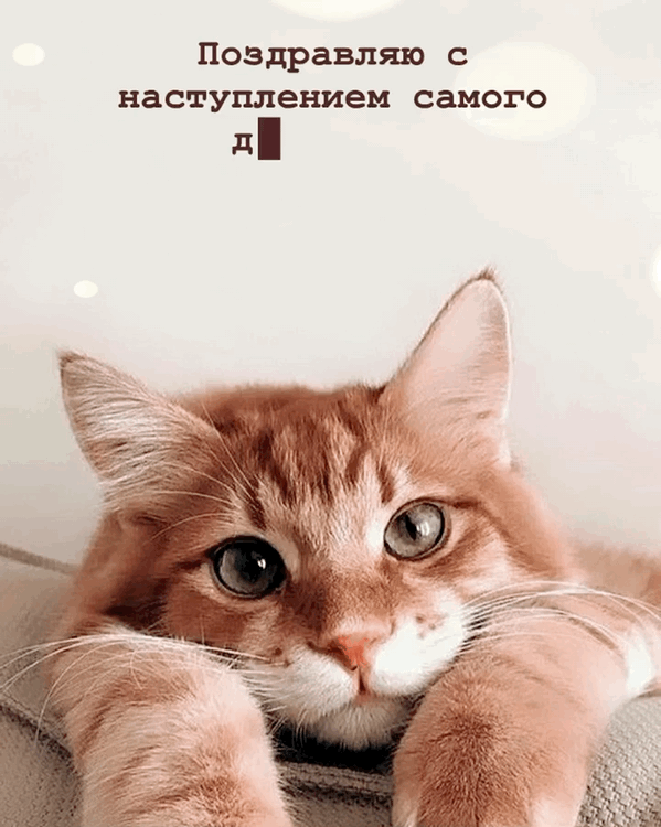 � ������������ ������ ������� ����! 