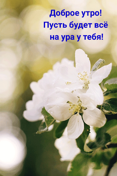 Картинка: Доброе утро! Пусть будет всё на ура у тебя!