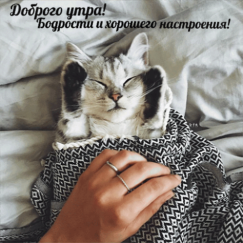 ������� ����! �������� � �������� ����������!
