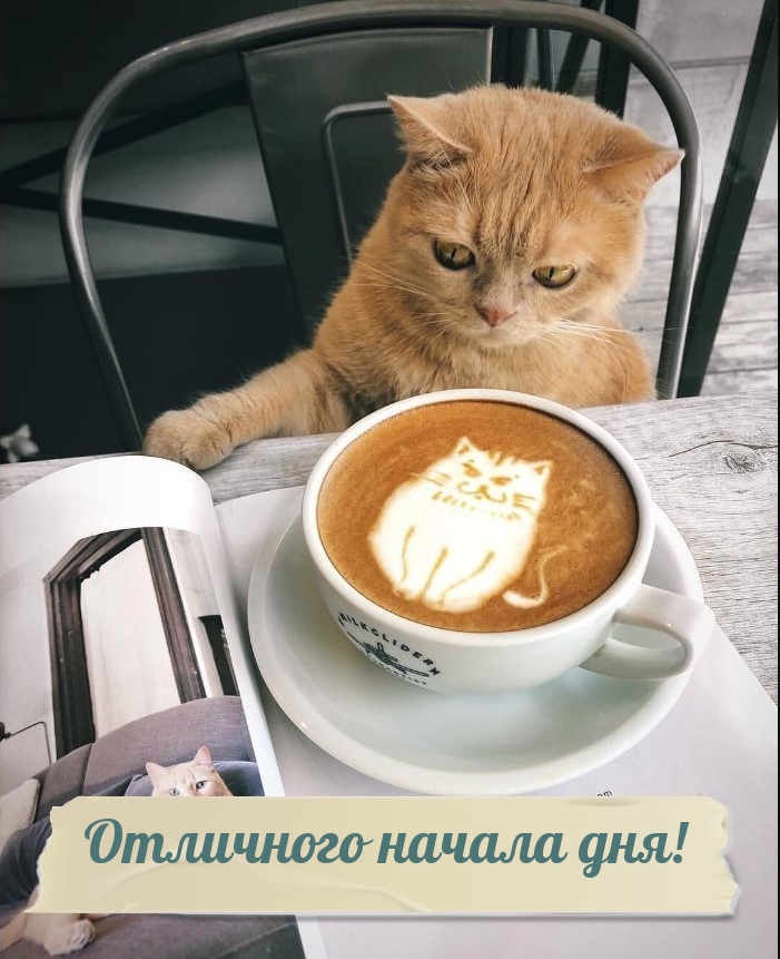 Картинка: Отличного начала дня!