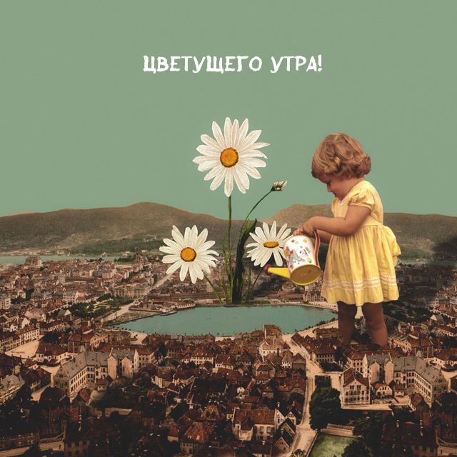 Картинка: Цветущего утра!