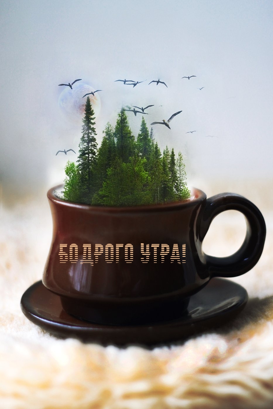 Картинка: Бодрого утра!