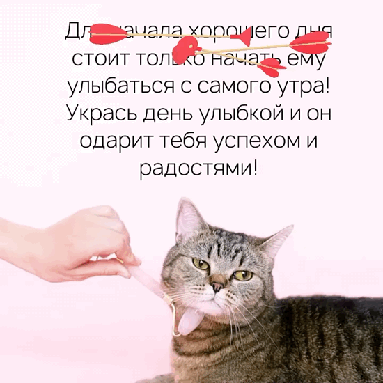 ��� ������ �������� ���