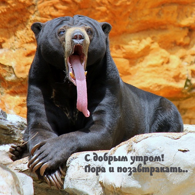 � ������ �����! ���� � ������������..