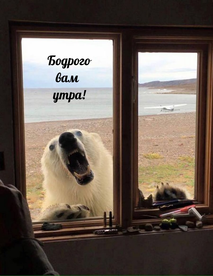 Картинка: Бодрого вам утра!