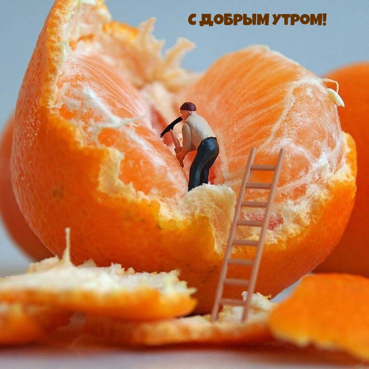� ������ �����!