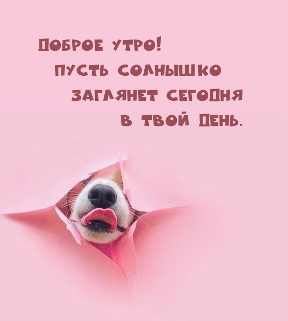 Картинка: Доброе утро! Пусть солнышко заглянет сегодня в твой день.
