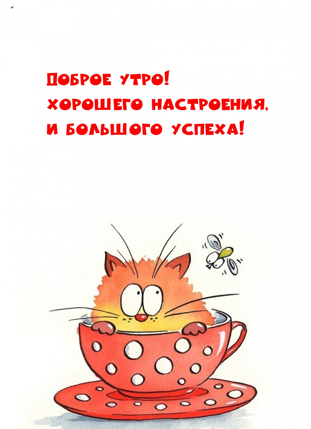 Картинка: Доброе утро! Хорошего настроения, и большого успеха!