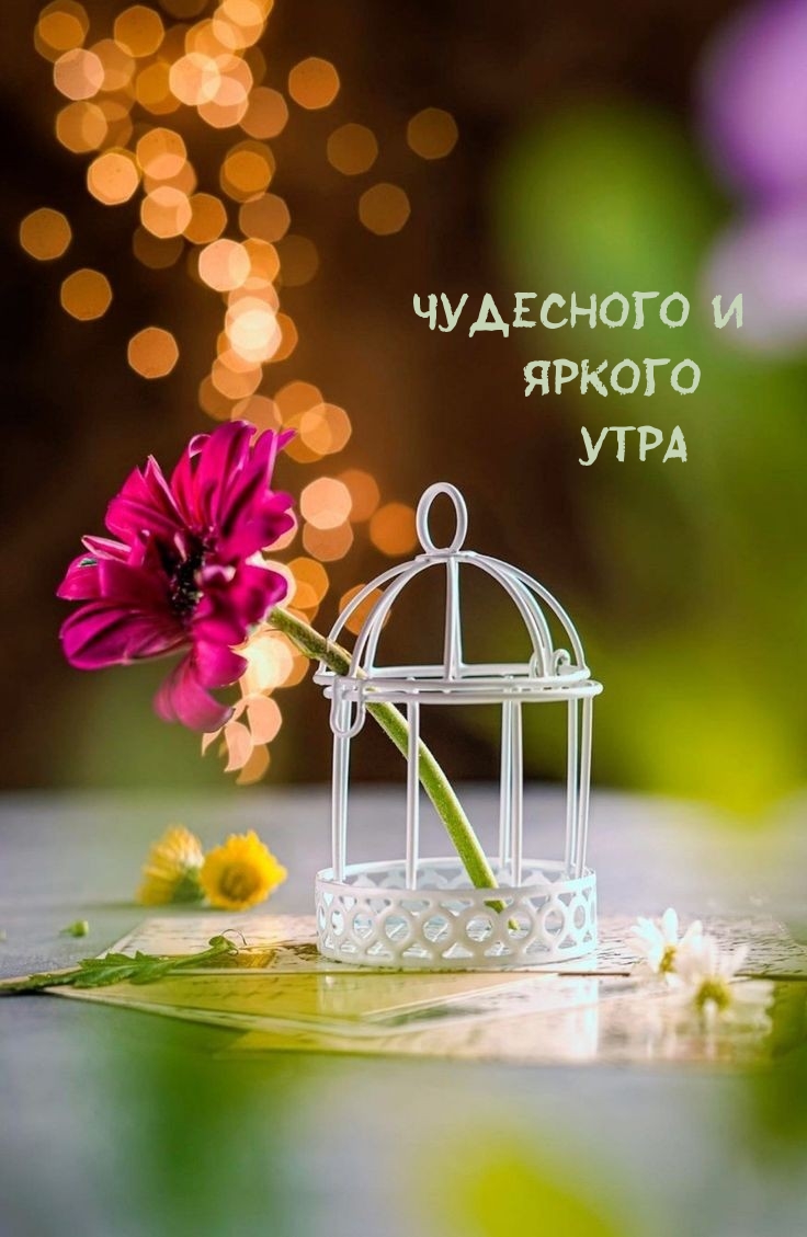 Картинка: Чудесного и Яркого Утра