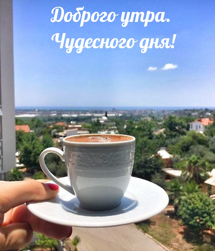 Картинка: Доброго утра. Чудесного дня!