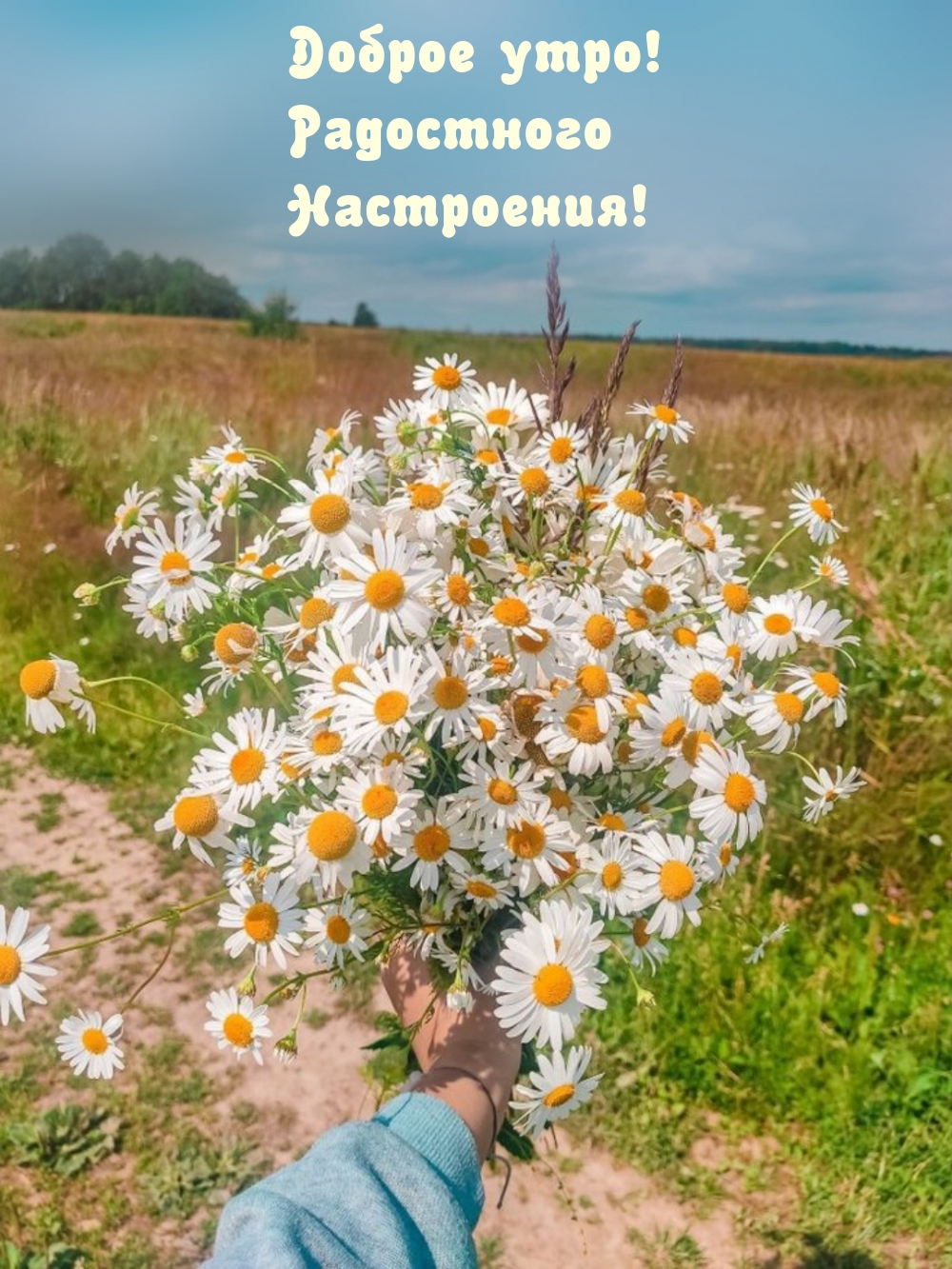 Картинка: Доброе утро! Радостного Настроения!