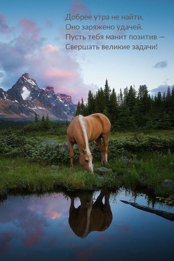 Картинка: Добрее утра не найти, оно заряжено удачей.