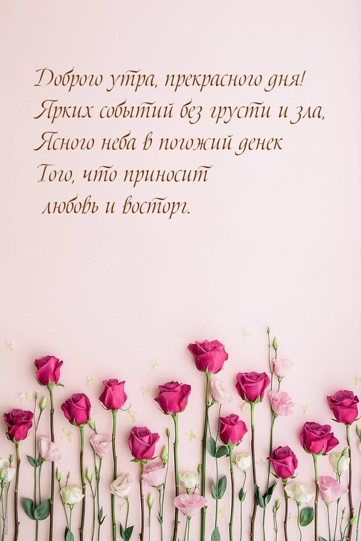 Картинка: Доброго утра, прекрасного дня!