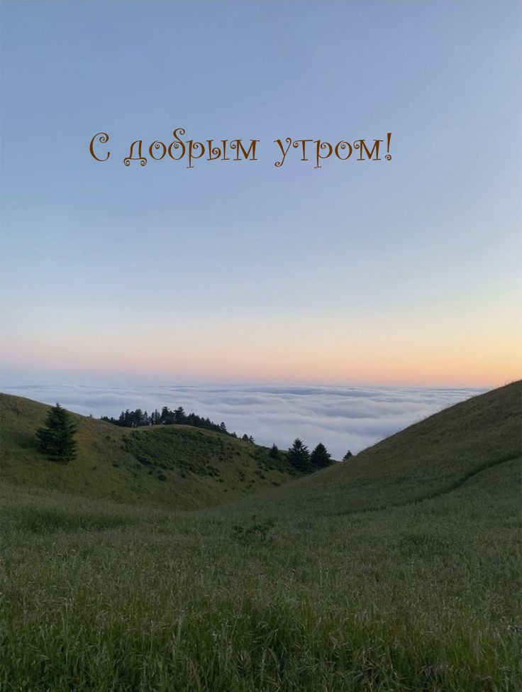 Картинка: С добрым утром!
