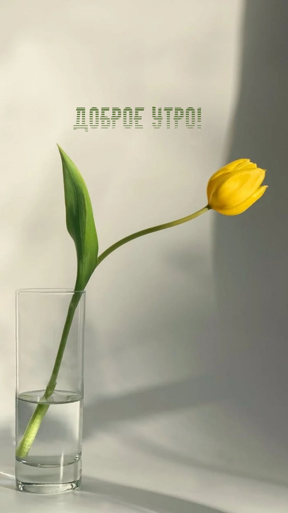 Картинка: Доброе утро!