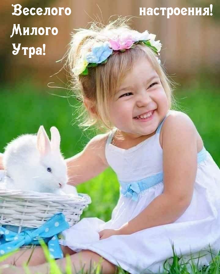 Картинка: Веселого настроения! Милого Утра!