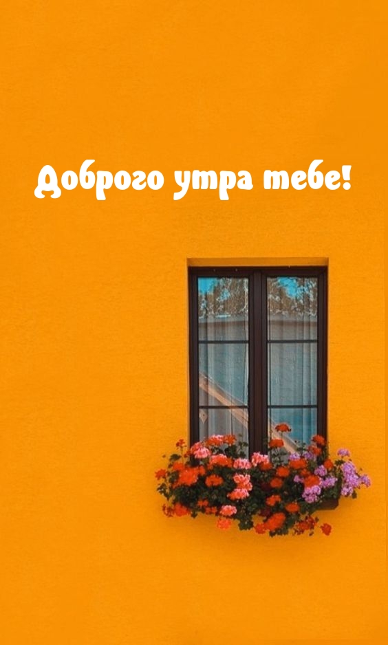 Картинка: Доброго утра тебе!