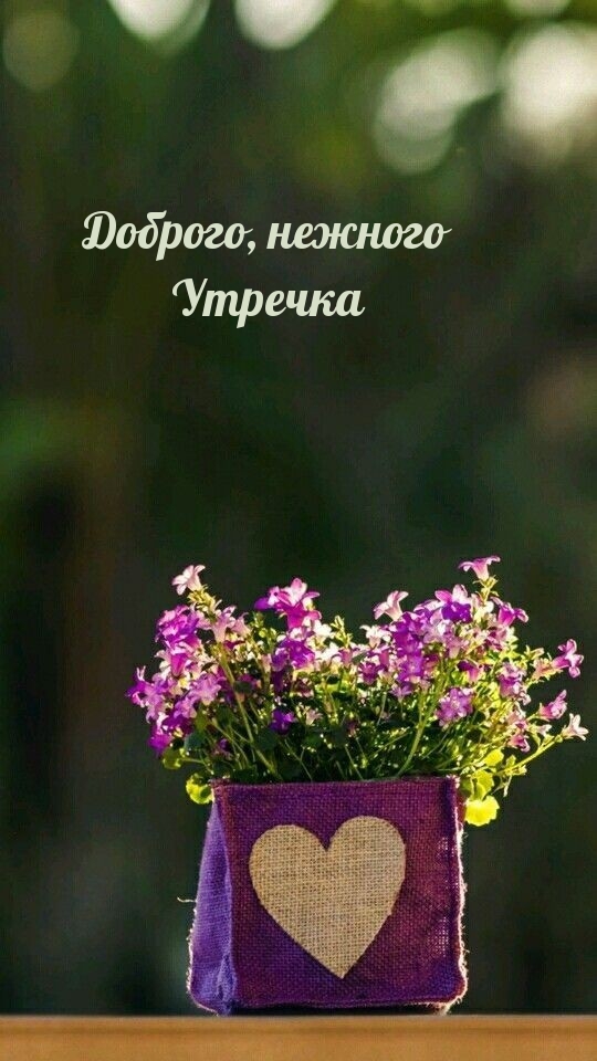 Картинка: Доброго, нежного Утречка