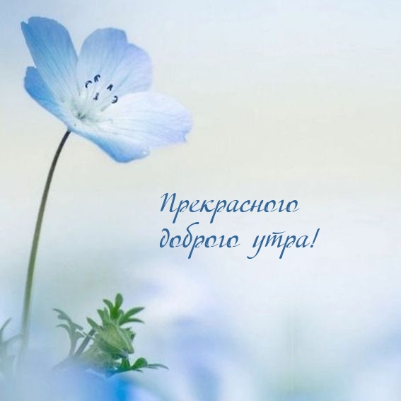 Картинка: Прекрасного доброго утра!