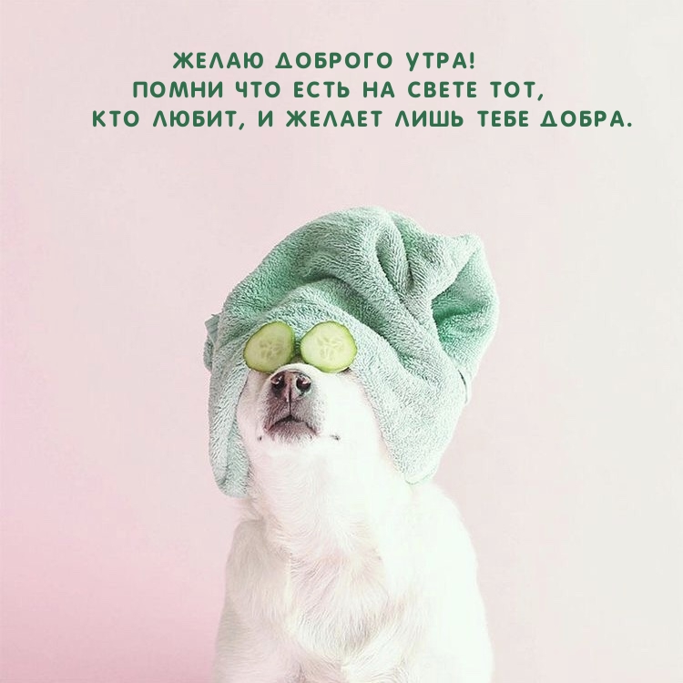Картинка: Желаю доброго утра! Кто любит, и желает лишь тебе добра.