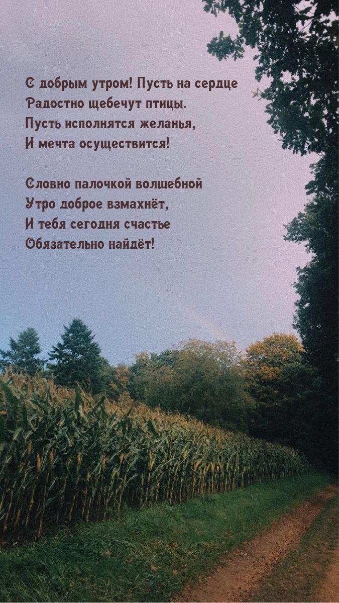 Картинка: С добрым утром! Пусть на сердце радостно щебечут птицы.