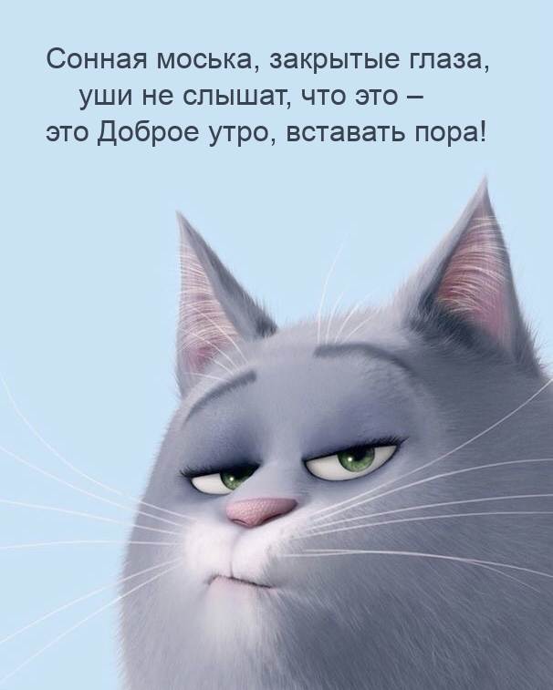 Картинка: Сонная моська, закрытые глаза, уши не слышат - это Доброе утро