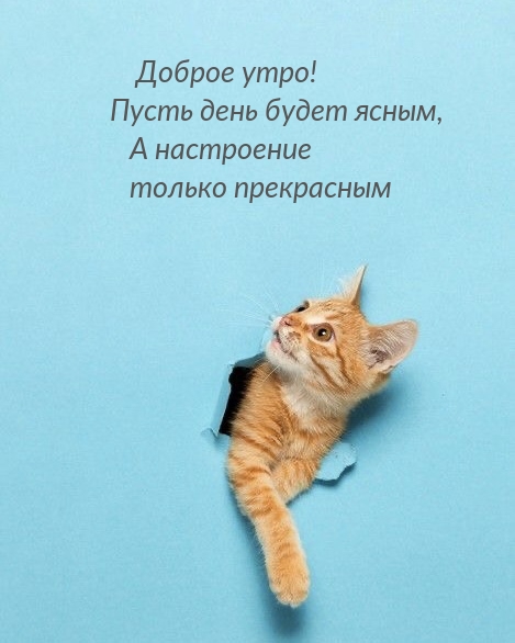 Картинка: Доброе утро! Пусть день будет ясным