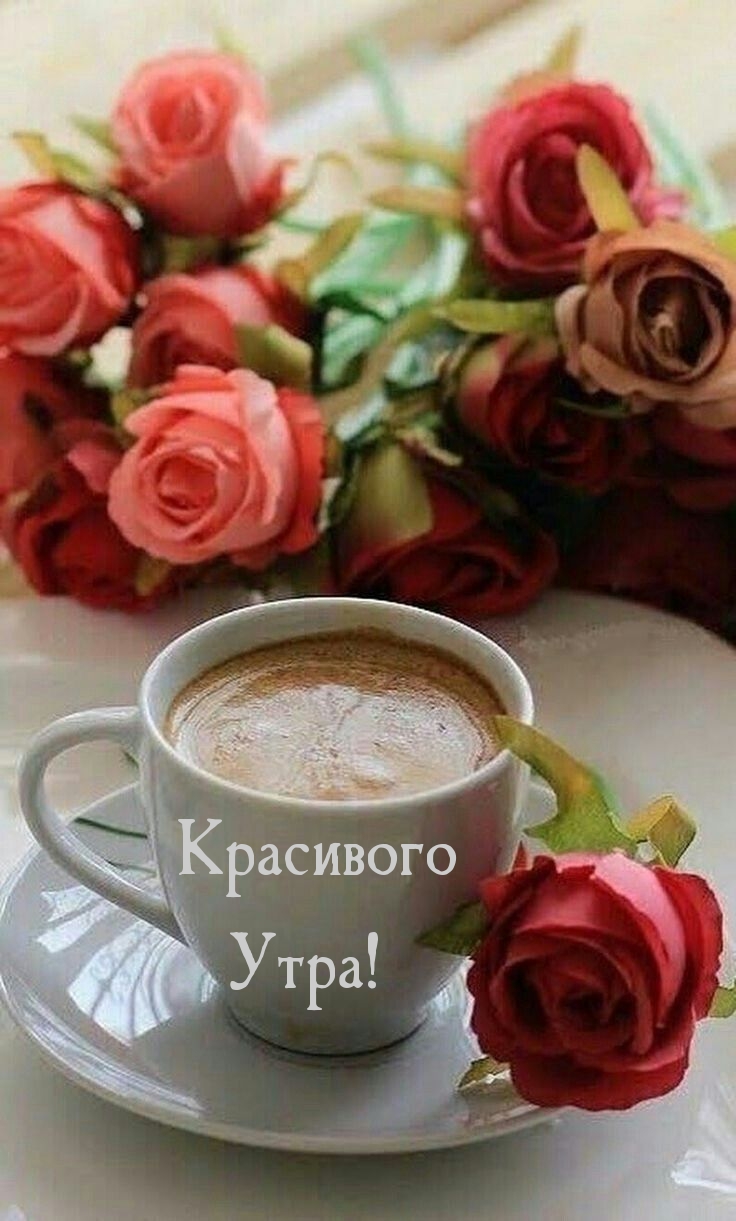 Картинка: Красивого Утра!