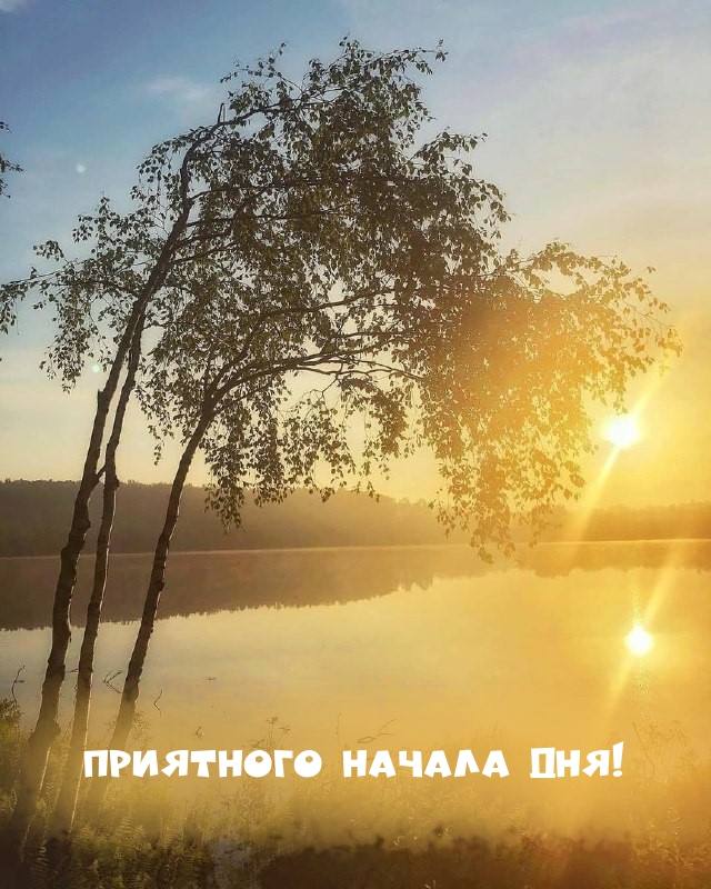 Картинка: Приятного начала дня!