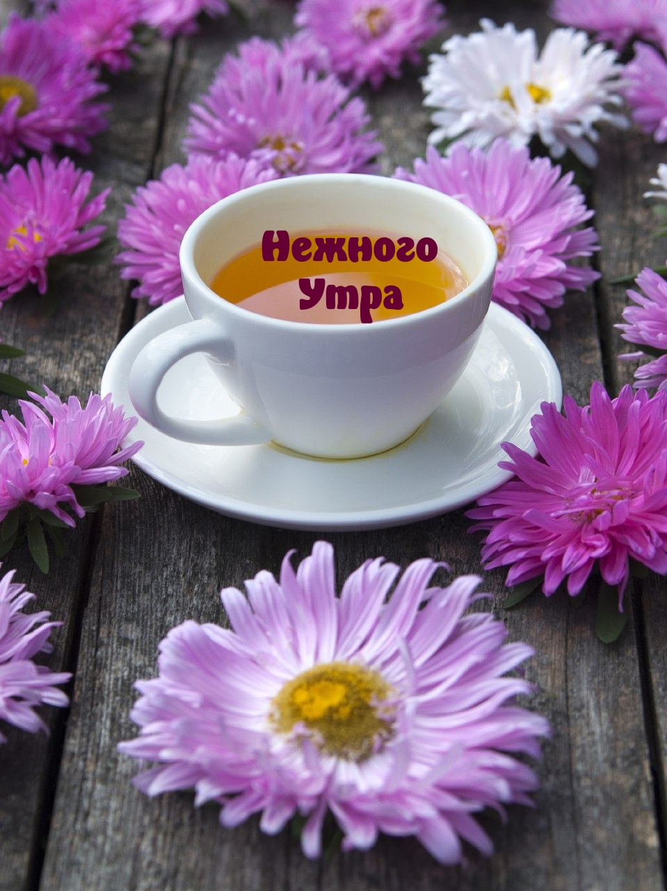 Картинка: Нежного Утра